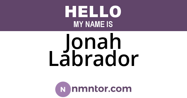 Jonah Labrador
