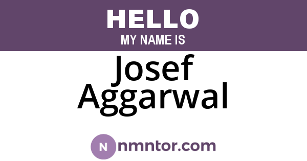 Josef Aggarwal