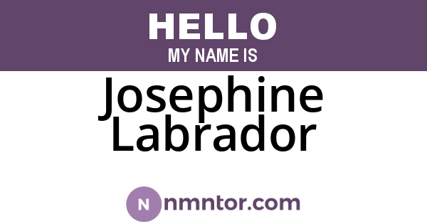 Josephine Labrador
