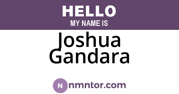 Joshua Gandara