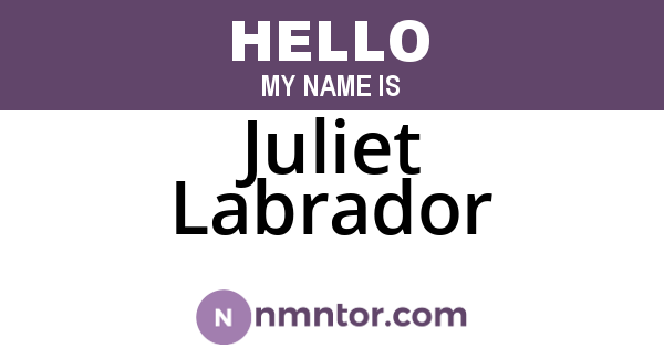 Juliet Labrador