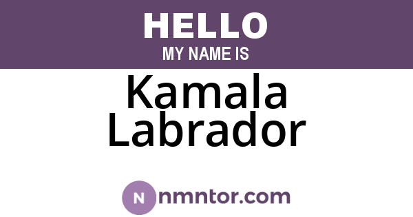 Kamala Labrador
