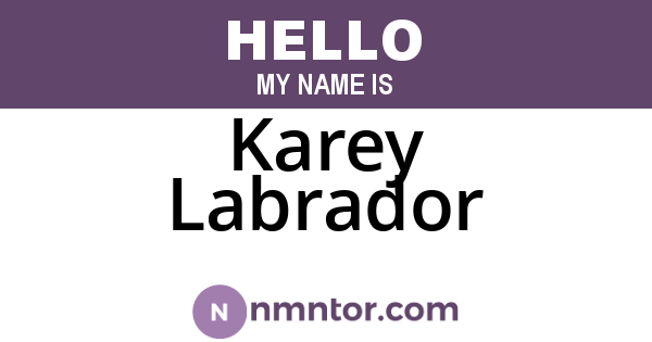 Karey Labrador