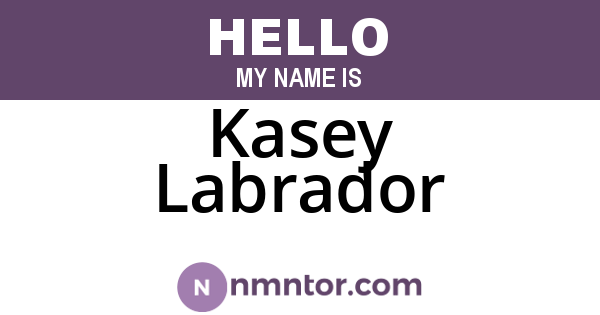 Kasey Labrador