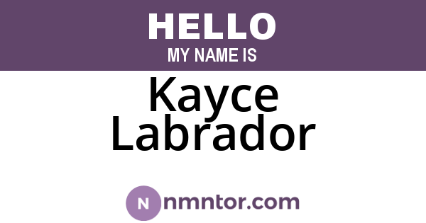 Kayce Labrador