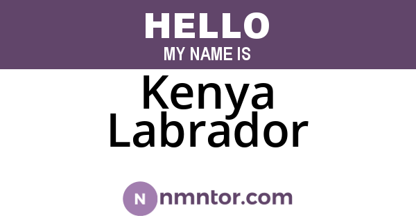 Kenya Labrador