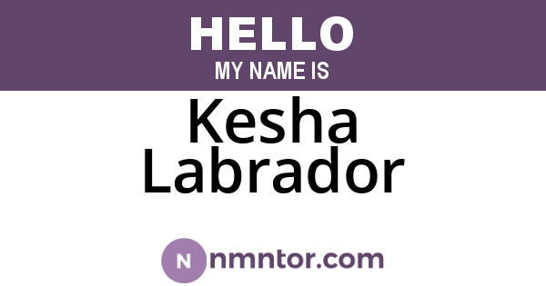 Kesha Labrador