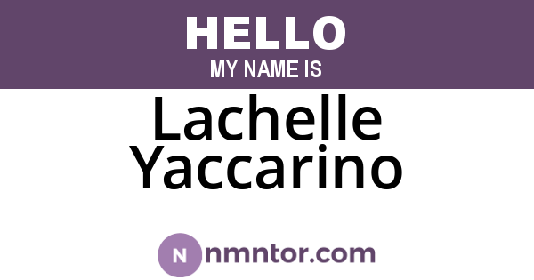Lachelle Yaccarino