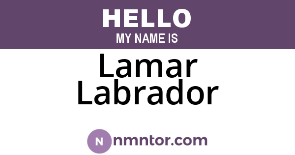 Lamar Labrador