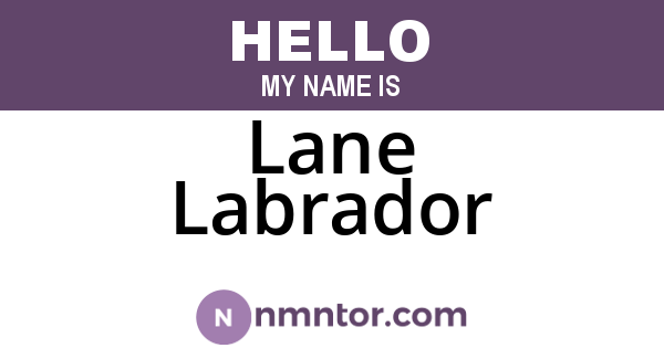 Lane Labrador