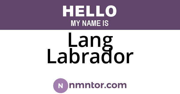 Lang Labrador