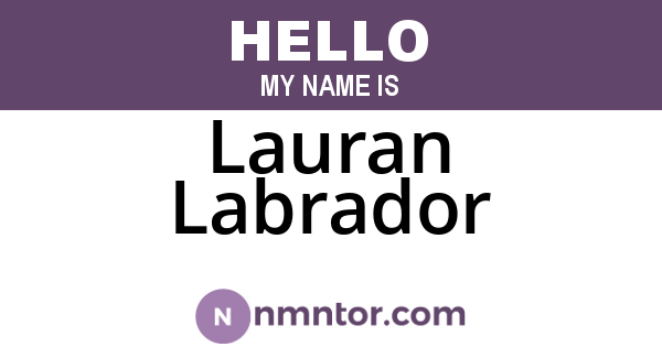 Lauran Labrador