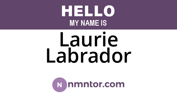 Laurie Labrador