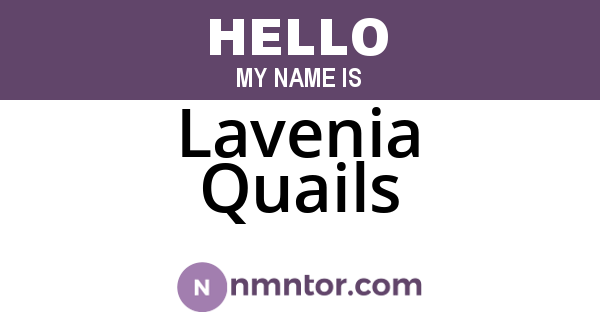 Lavenia Quails
