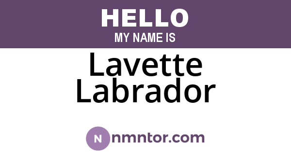 Lavette Labrador