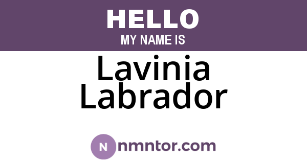 Lavinia Labrador