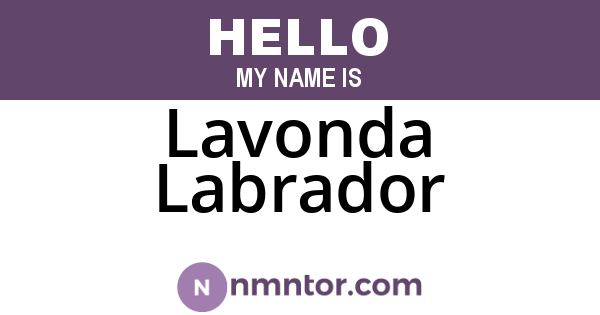 Lavonda Labrador