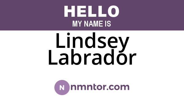 Lindsey Labrador