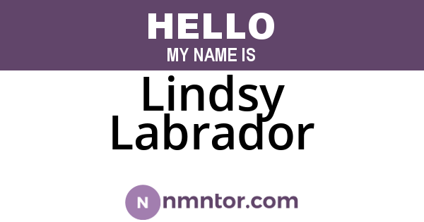 Lindsy Labrador