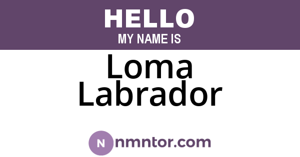 Loma Labrador