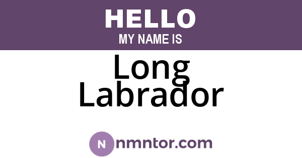 Long Labrador