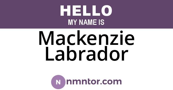 Mackenzie Labrador