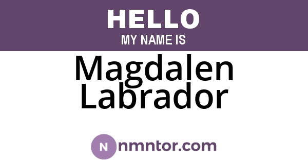 Magdalen Labrador
