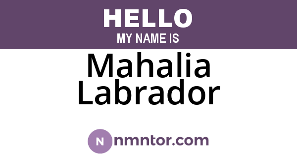 Mahalia Labrador