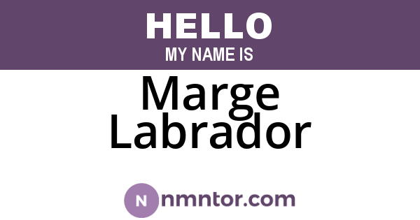 Marge Labrador