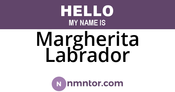 Margherita Labrador