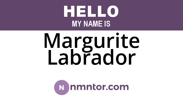 Margurite Labrador