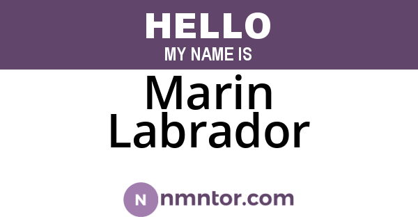 Marin Labrador