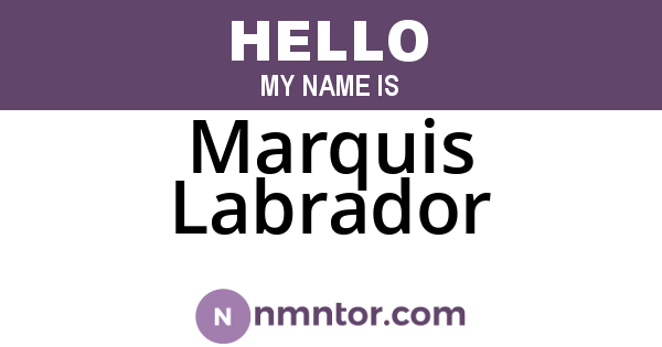 Marquis Labrador