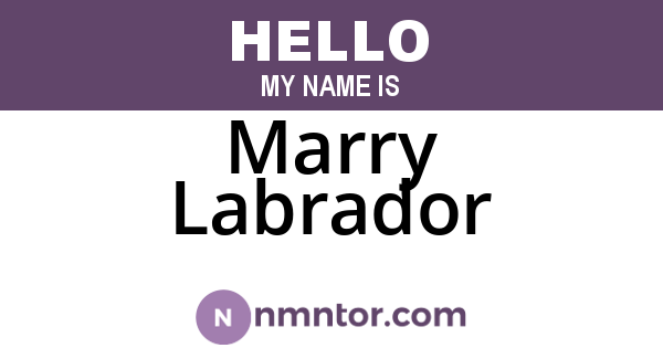 Marry Labrador