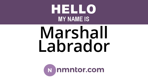 Marshall Labrador