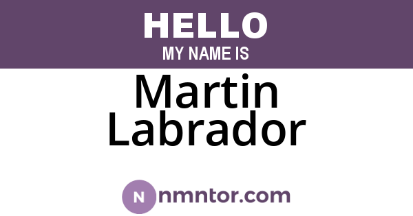 Martin Labrador