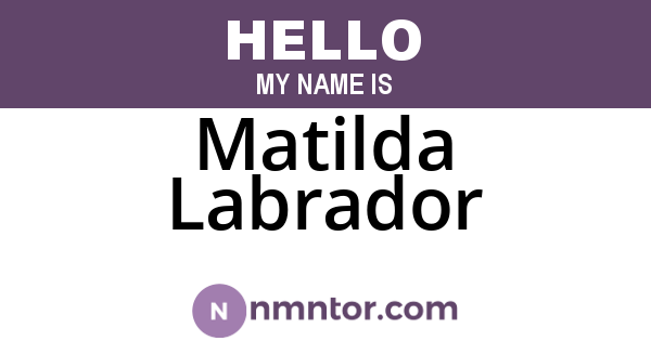 Matilda Labrador