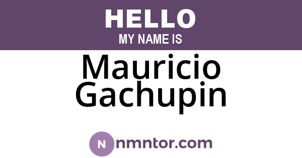 Mauricio Gachupin