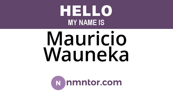 Mauricio Wauneka