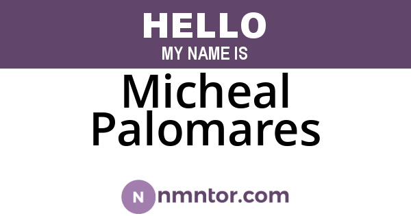 Micheal Palomares