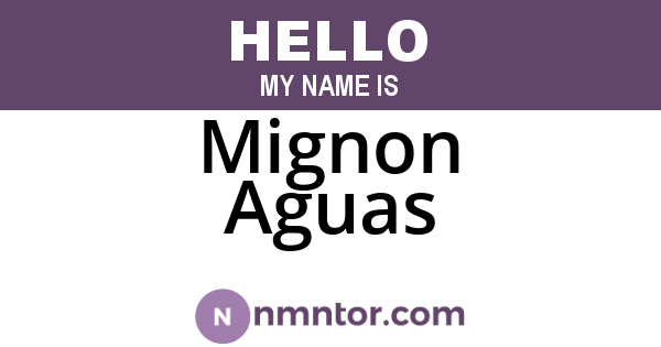 Mignon Aguas