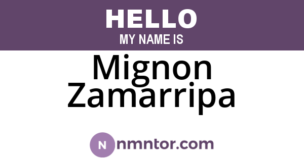 Mignon Zamarripa