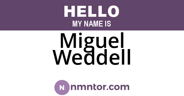 Miguel Weddell