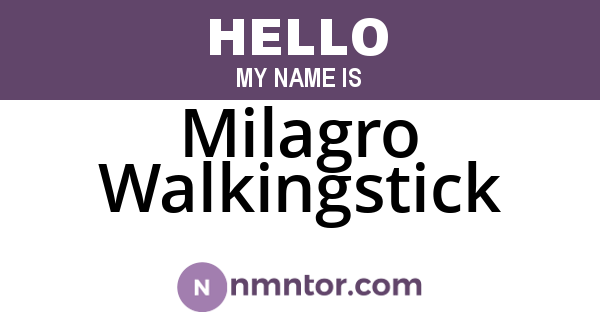 Milagro Walkingstick
