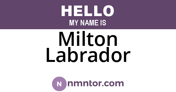 Milton Labrador
