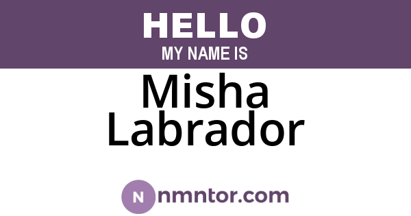 Misha Labrador