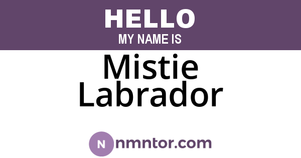 Mistie Labrador