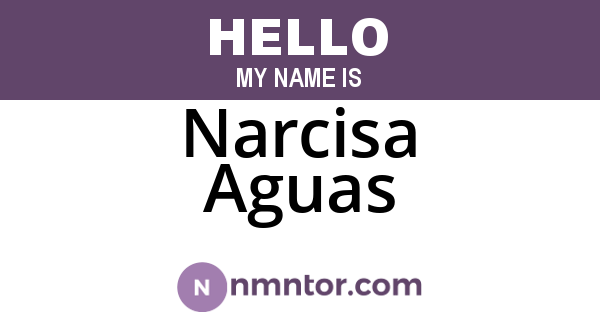 Narcisa Aguas