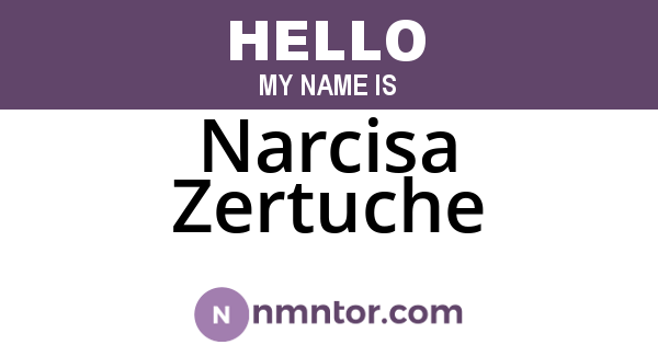 Narcisa Zertuche