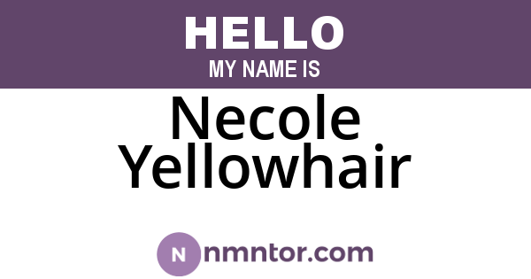 Necole Yellowhair